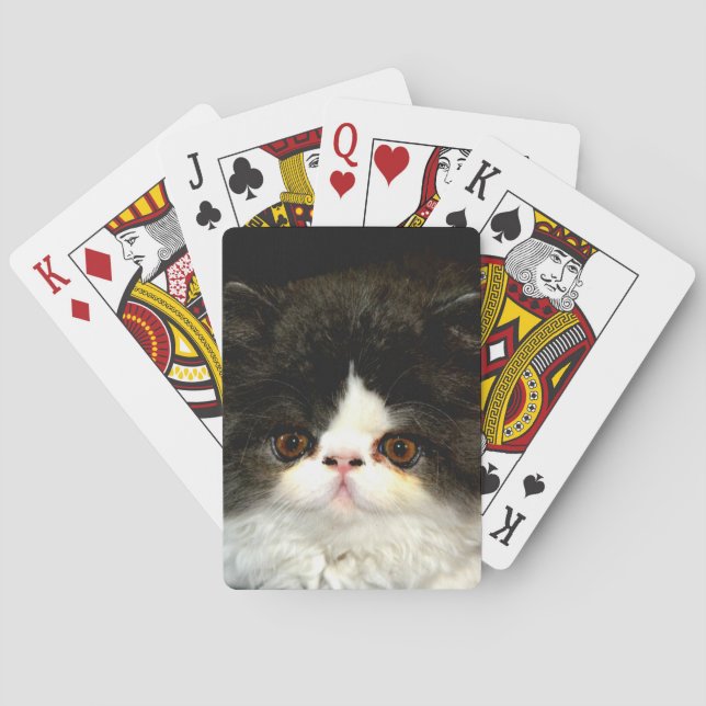 Baraja De Cartas Gatito blanco y negro (Reverso)