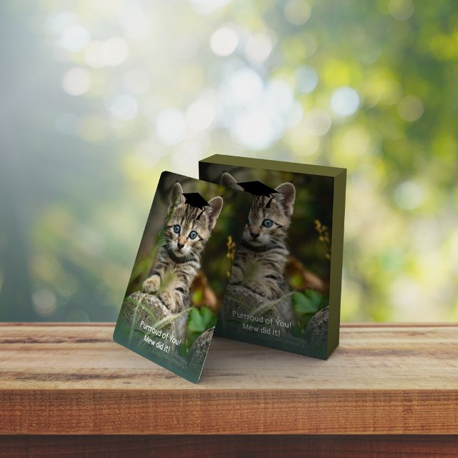 Baraja De Cartas Gatito de Graduación Cuta (Subido por el creador)