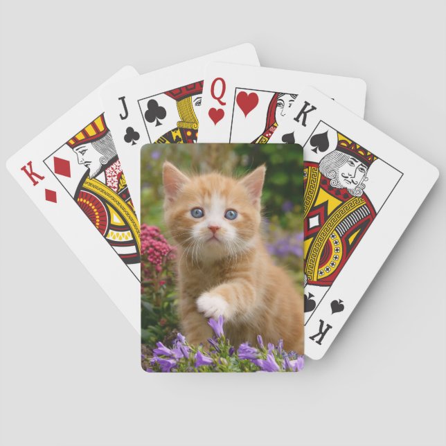 Baraja De Cartas Gatito de jengibre en un jardín (Reverso)