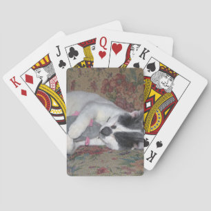 Baraja De Cartas Gatito durmiente