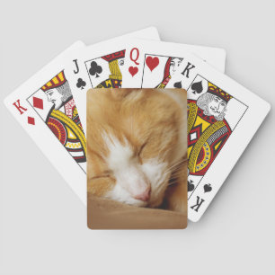 Baraja De Cartas Gatito durmiente
