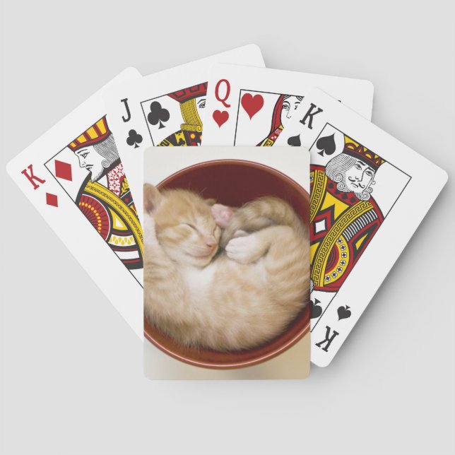 Baraja De Cartas Gatito el dormir (Reverso)