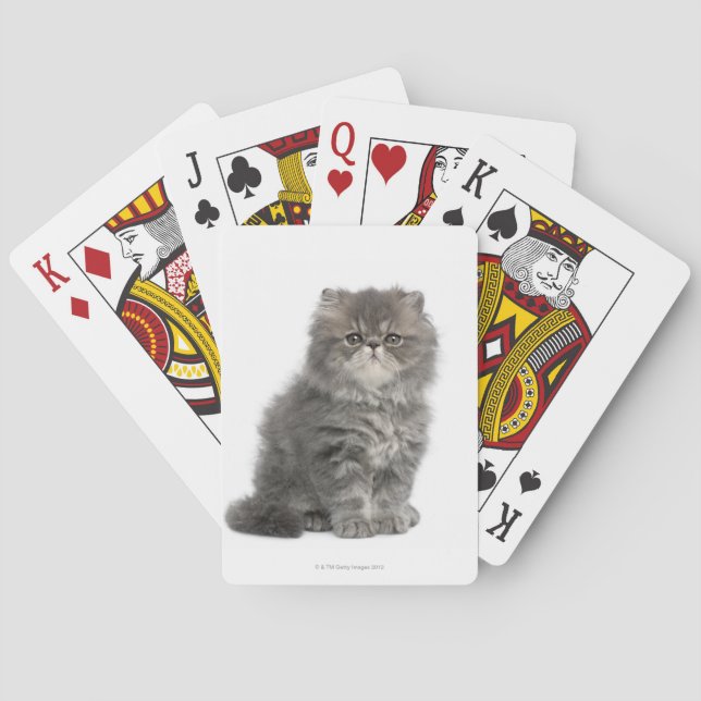 Baraja De Cartas Gatito persa (2 meses) sentado (Reverso)