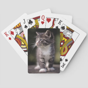 Baraja De Cartas Gatito que se coloca alto