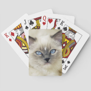 Baraja De Cartas Gatito Ragdoll