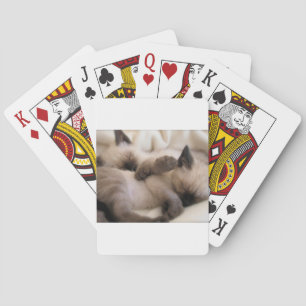 Baraja De Cartas Gatito siamés lindo del gato del mascota de los
