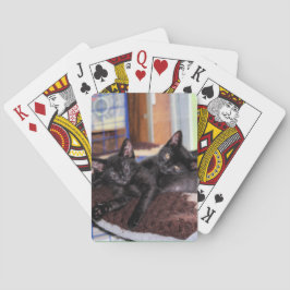 Baraja De Cartas Gatitos