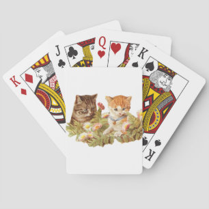 Baraja De Cartas Gatitos