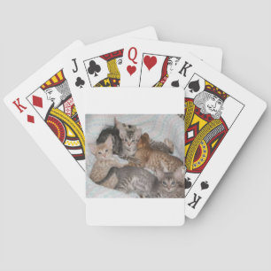 BARAJA DE CARTAS GATITOS LINDOS EN UNA CESTA