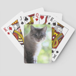 Baraja De Cartas Gato