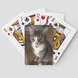 Baraja De Cartas Gato