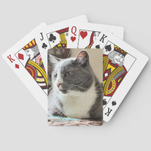 Baraja De Cartas Gato