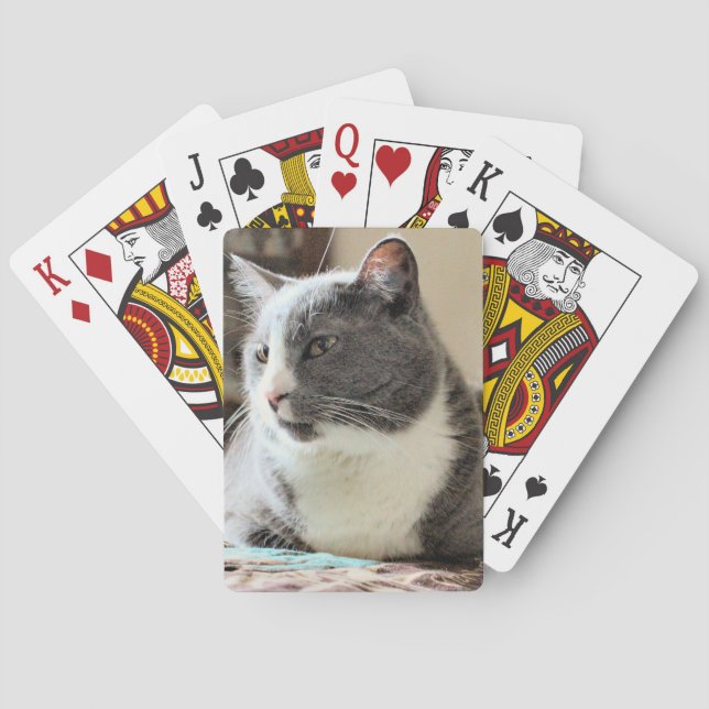 Baraja De Cartas Gato (Reverso)