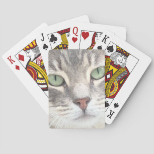 Baraja De Cartas Gato