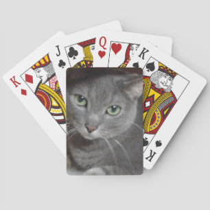 Baraja De Cartas Gato azul de Rusia