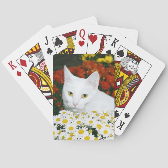 Baraja De Cartas Gato blanco en flores caídas (Reverso)