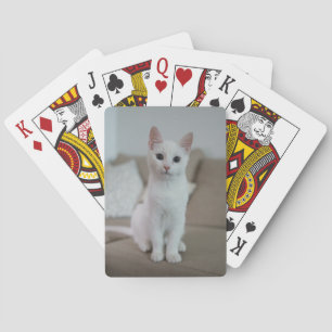 Baraja De Cartas Gato blanco Zazzle_Growshop.