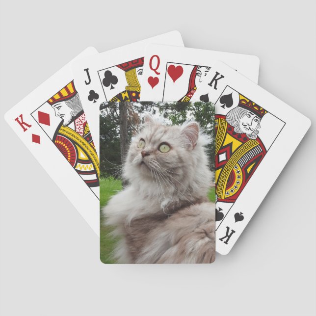 Baraja De Cartas Gato británico de pelo largo - Chocolate, Pestaña  (Reverso)