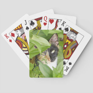 Baraja De Cartas Gato de Calico en las Zinnias