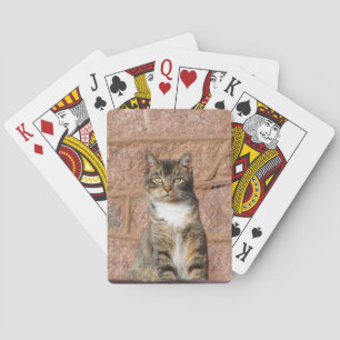 Baraja De Cartas Gato de iglesia