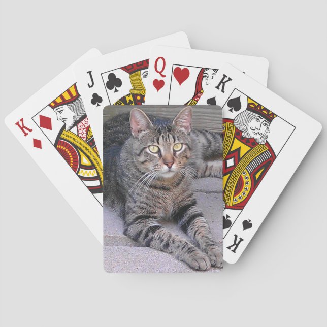 Baraja De Cartas Gato de Tabby Marrón al aire libre (Reverso)