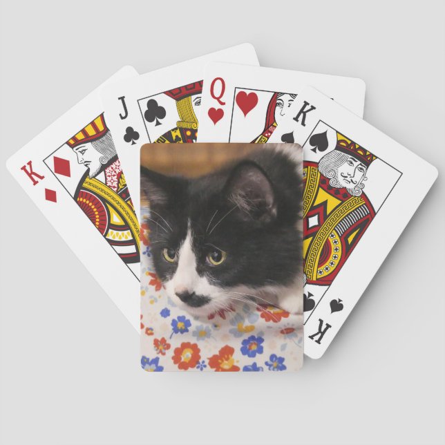 Baraja De Cartas Gato de Tuxedo (Reverso)