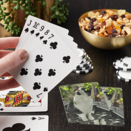 Baraja De Cartas Gato de Tuxedo