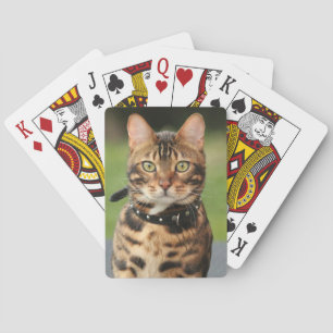 Baraja De Cartas Gato del tigre de Bengala