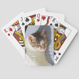 Baraja De Cartas Gato durmiendo en un jardín