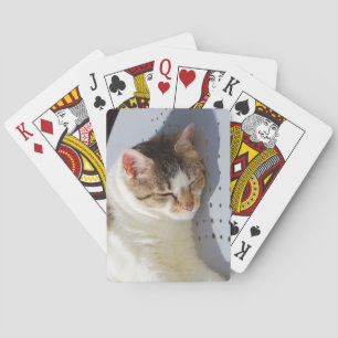 Baraja De Cartas Gato durmiendo en un jardín