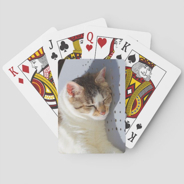Baraja De Cartas Gato durmiendo en un jardín (Reverso)