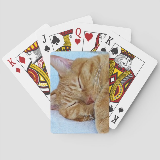 Baraja De Cartas Gato durmiente (Reverso)