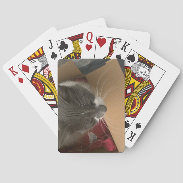 Baraja De Cartas Gato en la caja (Reverso)