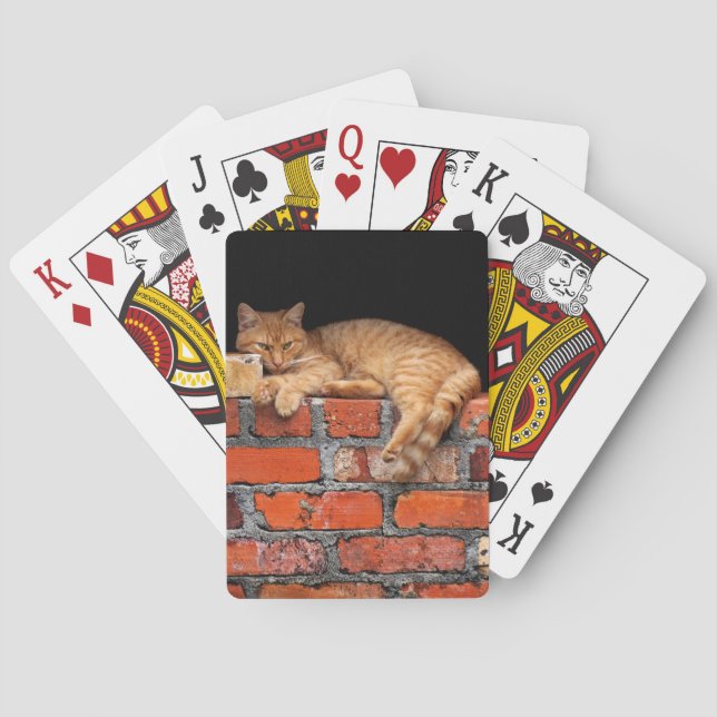 Baraja De Cartas Gato en la pared de ladrillo (Reverso)