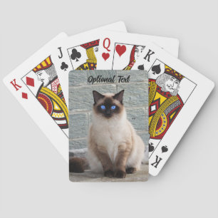 Baraja De Cartas Gato Fluffy personalizado con ojos azules