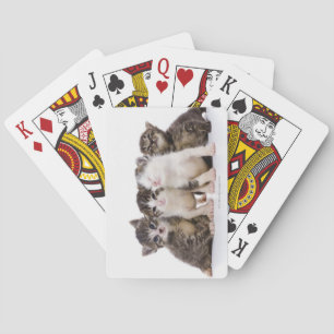 Baraja De Cartas Gato japonés