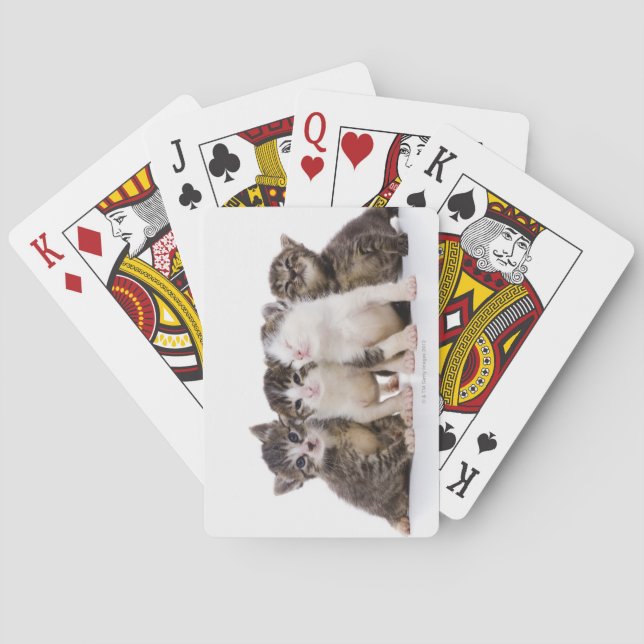 Baraja De Cartas Gato japonés (Reverso)