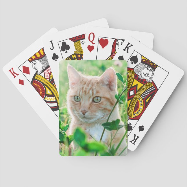 Baraja De Cartas Gato jengibre con ojos verdes en la hierba (Reverso)