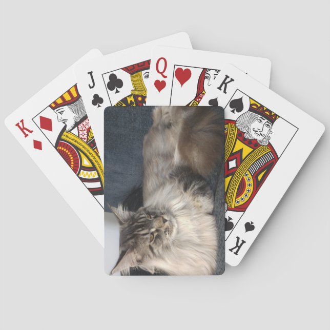 Baraja De Cartas Gato Maine Coon (Reverso)