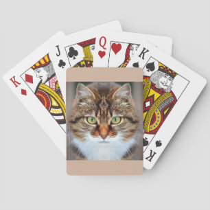 Baraja De Cartas Gato Mascota tabby