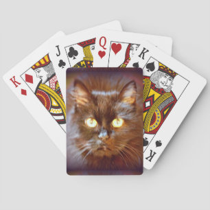 Baraja De Cartas gato negro
