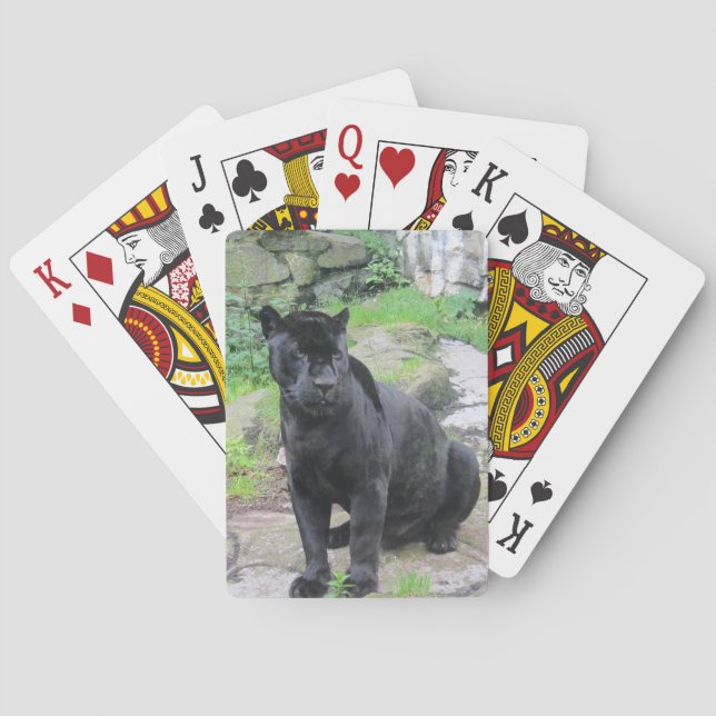 Baraja De Cartas Gato negro grande de Jaguar en sentarse en roca (Reverso)