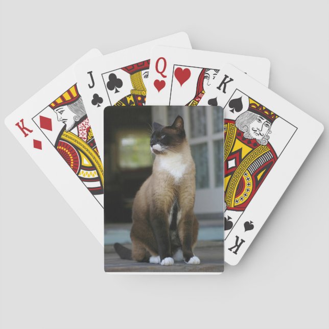 Baraja De Cartas Gato siamés en el corredor (Reverso)