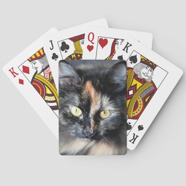 Baraja De Cartas Gato siberiano (Reverso)