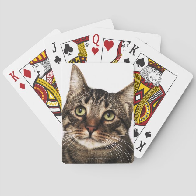 Baraja De Cartas Gato sobre fondo blanco 2 (Reverso)