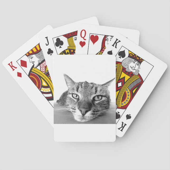 Baraja De Cartas Gato somnoliento (Reverso)