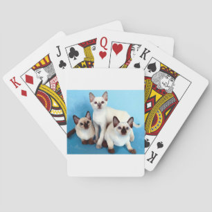 Baraja De Cartas Gatos siameses
