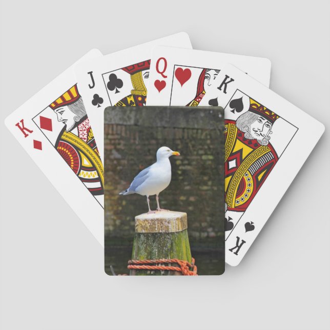 Baraja De Cartas Gaviota (Reverso)