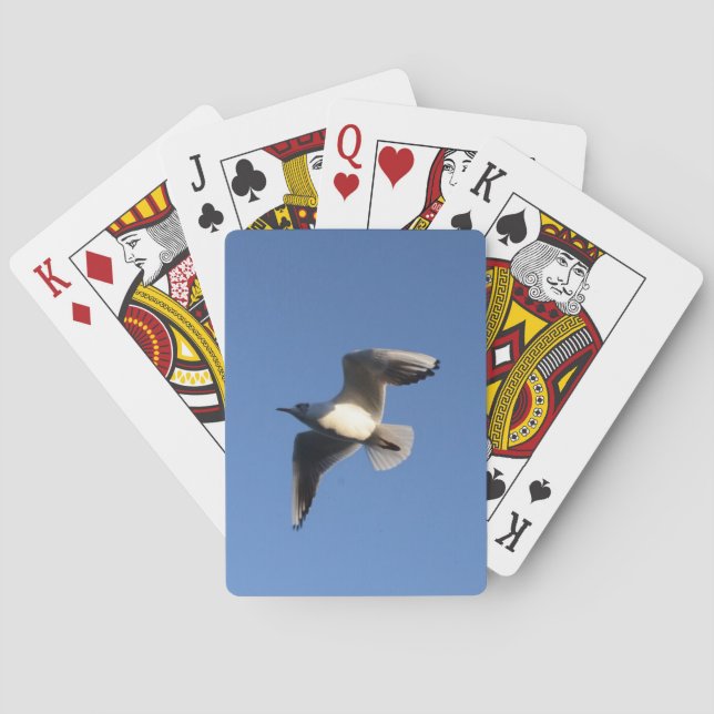 Baraja De Cartas Gaviota pequeña (Reverso)