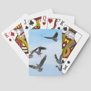 Baraja De Cartas Gaviotas de Cabeza Negra del Bósforo Arte